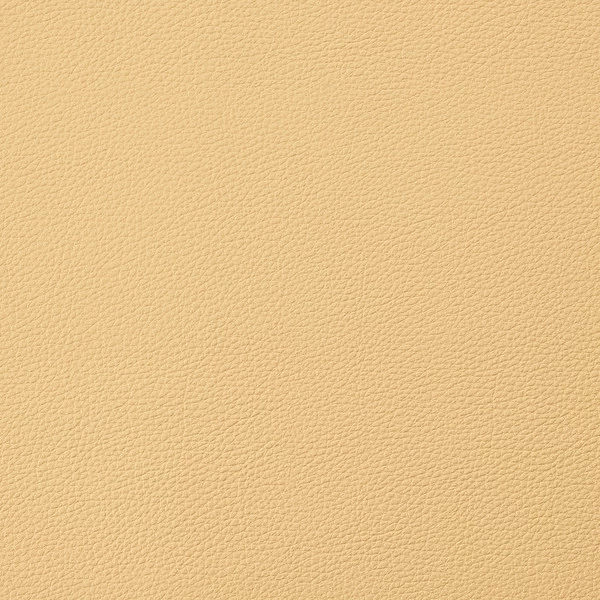 EverSoft™ Indoor/Outdoor Buttercream 54" Vinyl Fabric 2 EverSoft™ Indoor/Outdoor Buttercream 54" Vinyl Fabric - Image 2