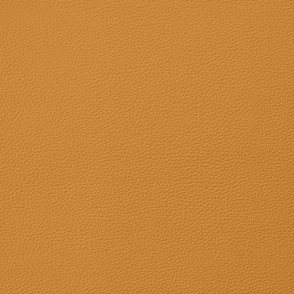 EverSoft™ Indoor/Outdoor Butterscotch 54" Vinyl Fabric 2 EverSoft™ Indoor/Outdoor Butterscotch 54" Vinyl Fabric - Image 2