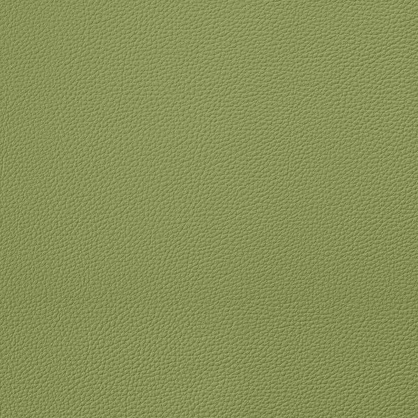 EverSoft™ Indoor/Outdoor Green 54" Vinyl Fabric 2 EverSoft™ Indoor/Outdoor Green 54" Vinyl Fabric - Image 2