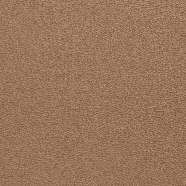 EverSoft™ Indoor/Outdoor Peanut 54" Vinyl Fabric 2 EverSoft™ Indoor/Outdoor Peanut 54" Vinyl Fabric - Image 2