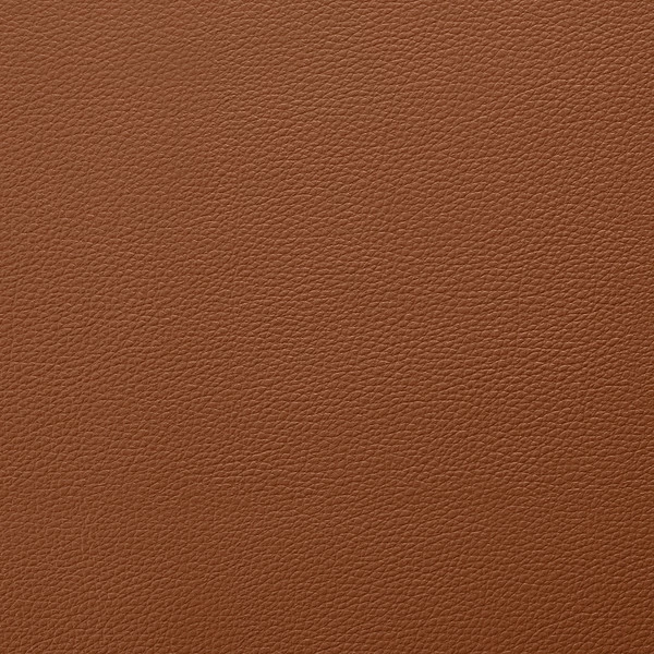 EverSoft™ Indoor/Outdoor Saddle 54" Vinyl Fabric 2 EverSoft™ Indoor/Outdoor Saddle 54" Vinyl Fabric - Image 2