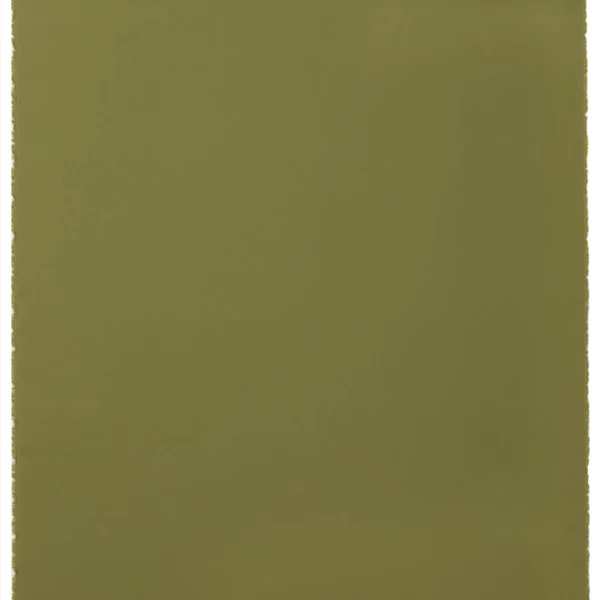 Outdura® Canvas Olive 54" Upholstery Fabric (5428) 4 Outdura® Canvas Olive 54" Upholstery Fabric (5428) - Image 4