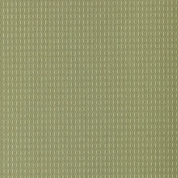 Outdura® ETC Asparagus 54" Upholstery Fabric (2671) 2 Outdura® ETC Asparagus 54" Upholstery Fabric (2671) - Image 2